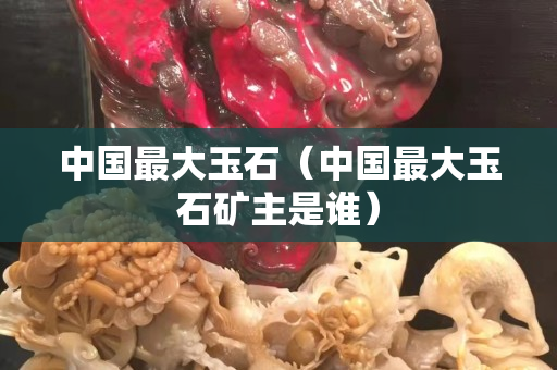 中國最大玉石（中國最大玉石礦主是誰）