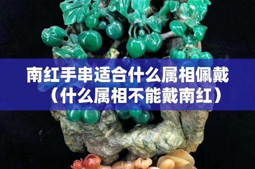 南紅手串適合什么屬相佩戴（什么屬相不能戴南紅）