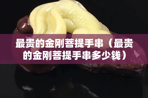 最貴的金剛菩提手串（最貴的金剛菩提手串多少錢）