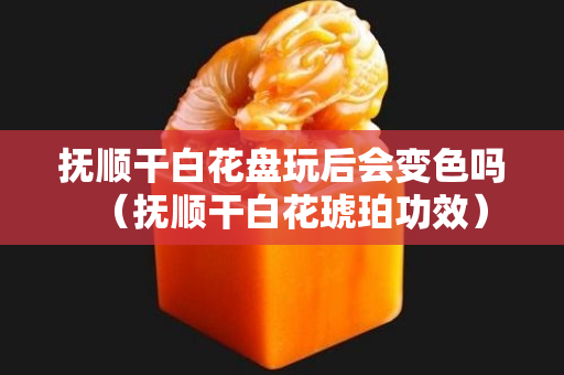 撫順干白花盤玩后會變色嗎（撫順干白花琥珀功效）
