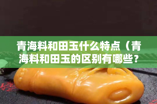 青海料和田玉什么特點（青海料和田玉的區別有哪些？）