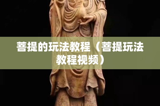 菩提的玩法教程（菩提玩法教程視頻）