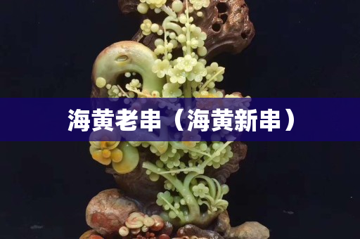海黃老串（海黃新串）