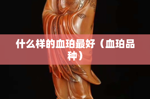 什么樣的血珀最好（血珀品種）