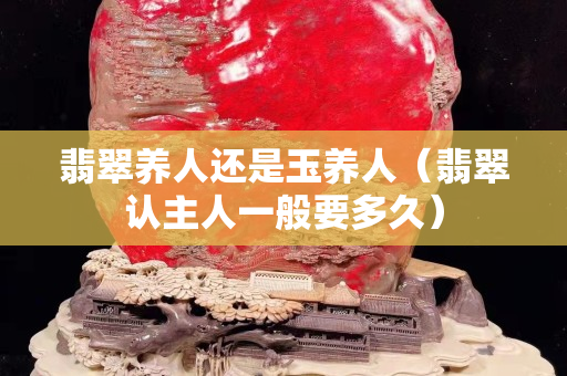 翡翠養人還是玉養人（翡翠認主人一般要多久）