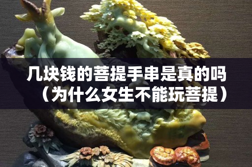 幾塊錢的菩提手串是真的嗎（為什么女生不能玩菩提）