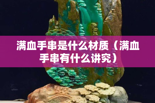 滿血手串是什么材質(zhì)（滿血手串有什么講究）