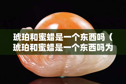 琥珀和蜜蠟是一個東西嗎（琥珀和蜜蠟是一個東西嗎為什么）