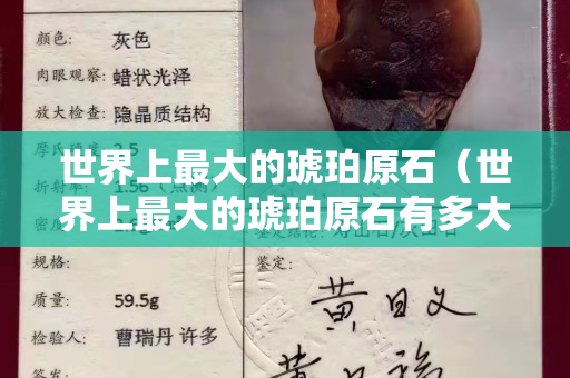 世界上最大的琥珀原石（世界上最大的琥珀原石有多大）