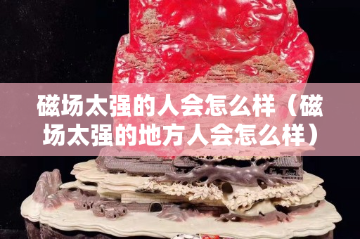磁場太強的人會怎么樣（磁場太強的地方人會怎么樣）