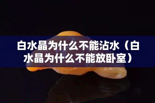 白水晶為什么不能沾水（白水晶為什么不能放臥室）