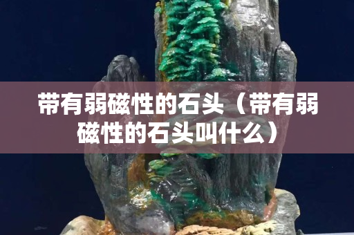 帶有弱磁性的石頭（帶有弱磁性的石頭叫什么）
