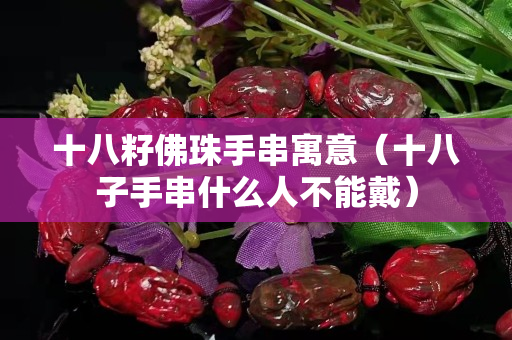 十八籽佛珠手串寓意（十八子手串什么人不能戴）