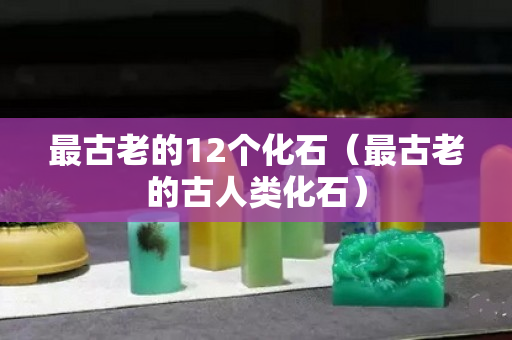最古老的12個化石（最古老的古人類化石）