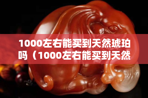 1000左右能買到天然琥珀嗎（1000左右能買到天然琥珀嗎圖片）