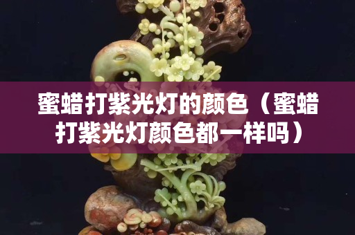 蜜蠟打紫光燈的顏色（蜜蠟打紫光燈顏色都一樣嗎）