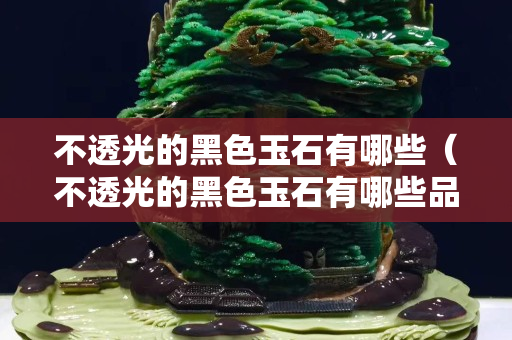 不透光的黑色玉石有哪些（不透光的黑色玉石有哪些品種）