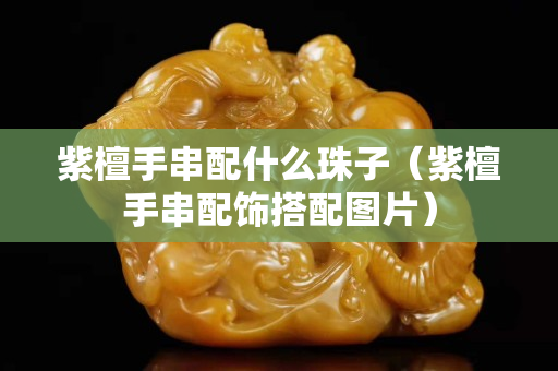 紫檀手串配什么珠子（紫檀手串配飾搭配圖片）