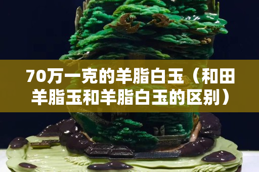 70萬一克的羊脂白玉（和田羊脂玉和羊脂白玉的區別）