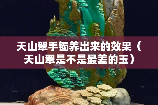 天山翠手鐲養(yǎng)出來的效果（天山翠是不是最差的玉）