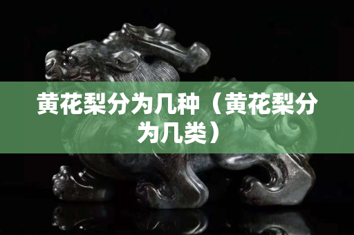 黃花梨分為幾種（黃花梨分為幾類）