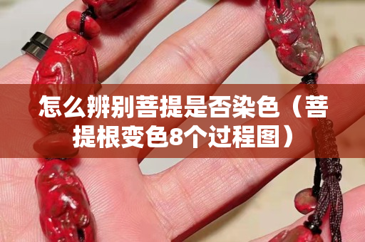 怎么辨別菩提是否染色（菩提根變色8個過程圖）