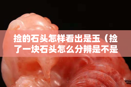 撿的石頭怎樣看出是玉（撿了一塊石頭怎么分辨是不是玉）
