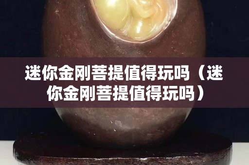 迷你金剛菩提值得玩嗎（迷你金剛菩提值得玩嗎）