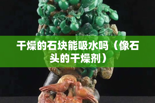 干燥的石塊能吸水嗎（像石頭的干燥劑）