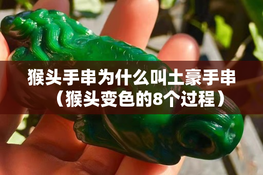 猴頭手串為什么叫土豪手串（猴頭變色的8個過程）