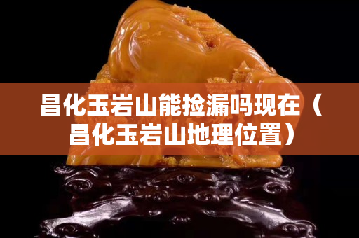 昌化玉巖山能撿漏嗎現在（昌化玉巖山地理位置）