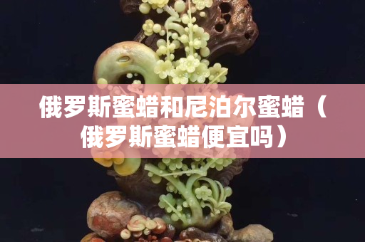俄羅斯蜜蠟和尼泊爾蜜蠟（俄羅斯蜜蠟便宜嗎）