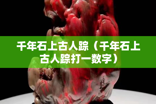 千年石上古人蹤（千年石上古人蹤打一數(shù)字）