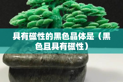 具有磁性的黑色晶體是（黑色且具有磁性）
