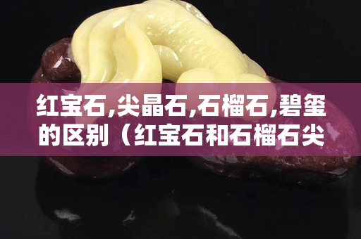 紅寶石,尖晶石,石榴石,碧璽的區別（紅寶石和石榴石尖晶石的區別）