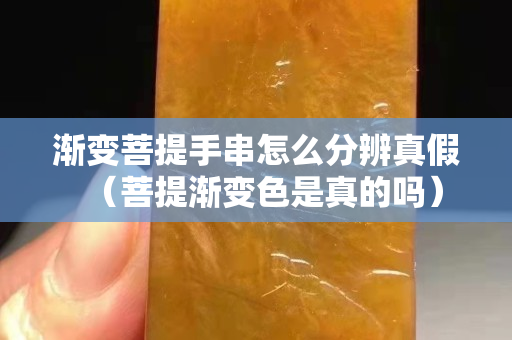 漸變菩提手串怎么分辨真假（菩提漸變色是真的嗎）