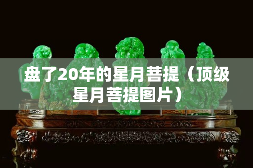 盤了20年的星月菩提（頂級(jí)星月菩提圖片）
