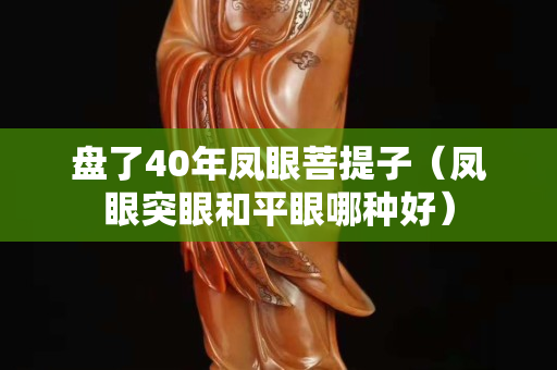 盤了40年鳳眼菩提子（鳳眼突眼和平眼哪種好）