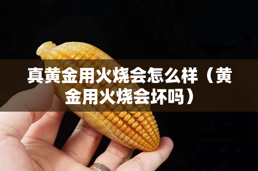 真黃金用火燒會怎么樣（黃金用火燒會壞嗎）