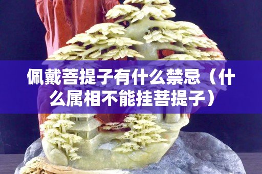 佩戴菩提子有什么禁忌（什么屬相不能掛菩提子）
