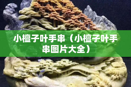 小檀子葉手串（小檀子葉手串圖片大全）