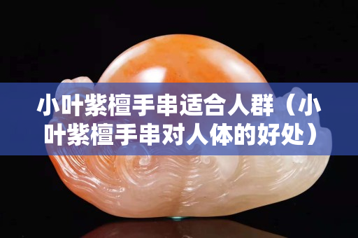 小葉紫檀手串適合人群（小葉紫檀手串對(duì)人體的好處）