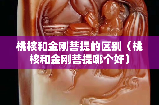桃核和金剛菩提的區別（桃核和金剛菩提哪個好）