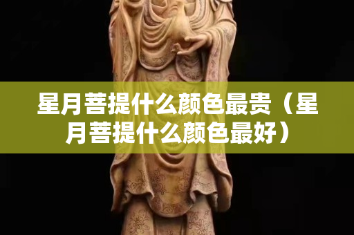 星月菩提什么顏色最貴（星月菩提什么顏色最好）