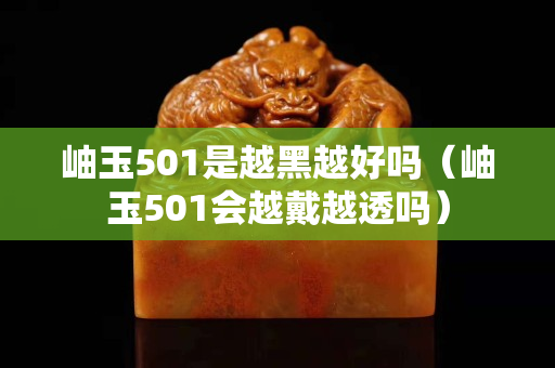 岫玉501是越黑越好嗎（岫玉501會越戴越透嗎）