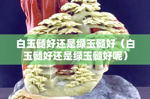 白玉髓好還是綠玉髓好（白玉髓好還是綠玉髓好呢）