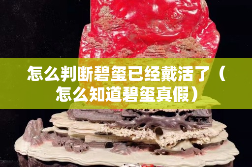 怎么判斷碧璽已經(jīng)戴活了（怎么知道碧璽真假）