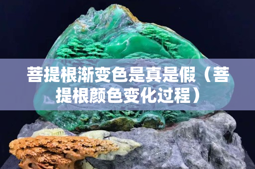 菩提根漸變色是真是假（菩提根顏色變化過程）