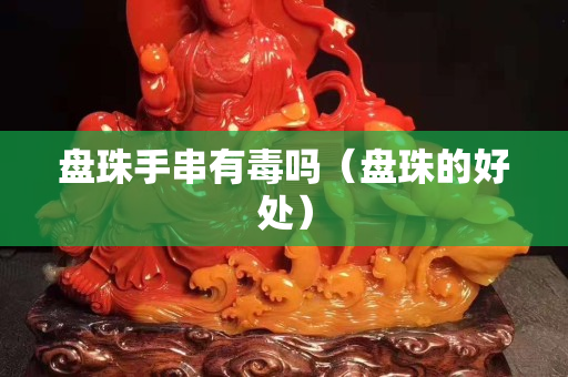 盤珠手串有毒嗎（盤珠的好處）