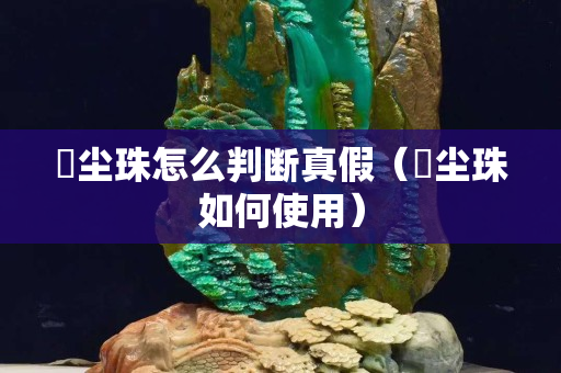 雮塵珠怎么判斷真假（雮塵珠如何使用）